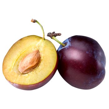 Plum