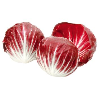 Radicchio