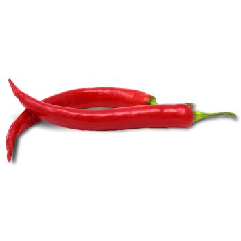 Red Chili Pepper