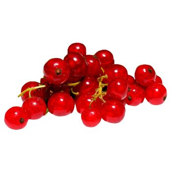 Red Currants