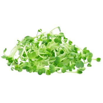 Microgreens