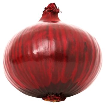 Red Onion