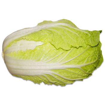 Napa Cabbage