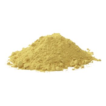 Mango Powder