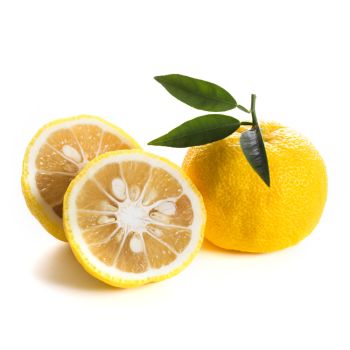 Yuzu