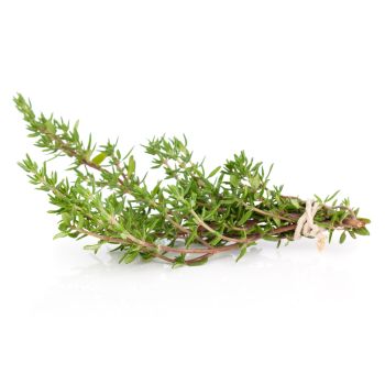 Thyme