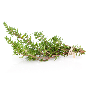 thyme