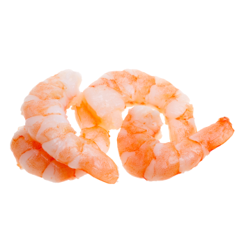 shrimp