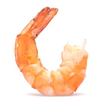 Jumbo Shrimp