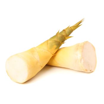 Bamboo Shoots