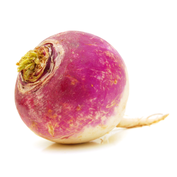 turnip