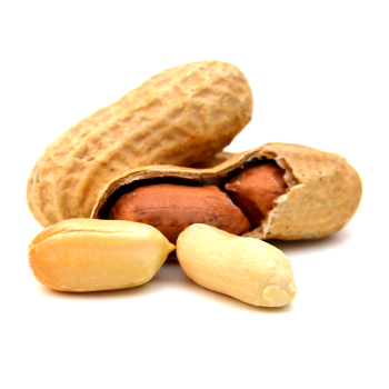 peanuts
