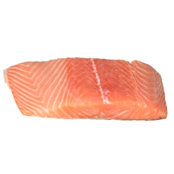 Salmon