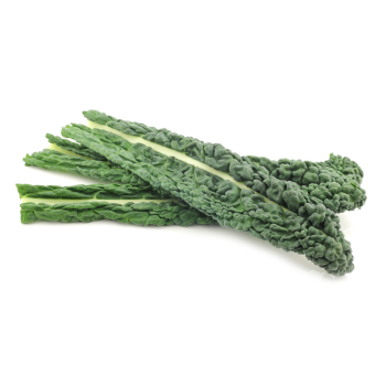 Tuscan Kale
