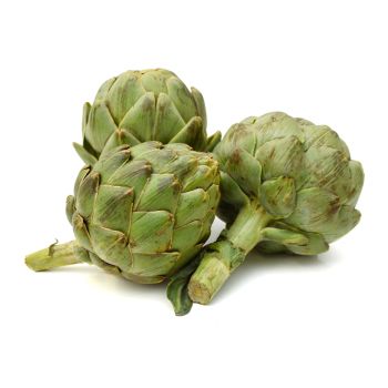 Artichoke