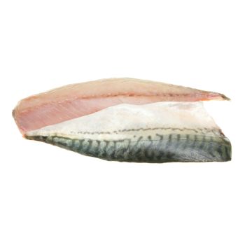 Mackerel