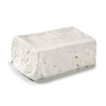 Stracchino Cheese