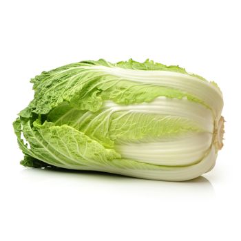 Chinese Cabbage