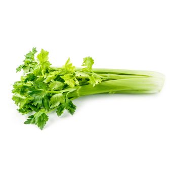 Celery