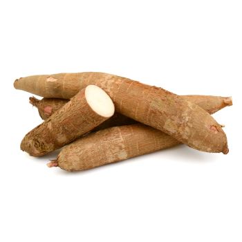 Cassava