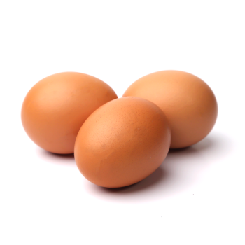 egg