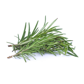 fresh rosemary