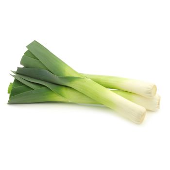 Leek