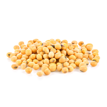 soybeans
