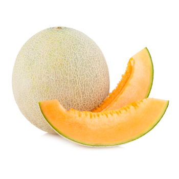 cantaloupe