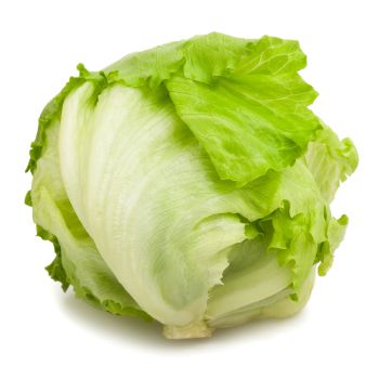 Iceberg Lettuce