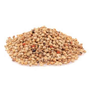 Sorghum