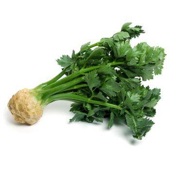 Celeriac