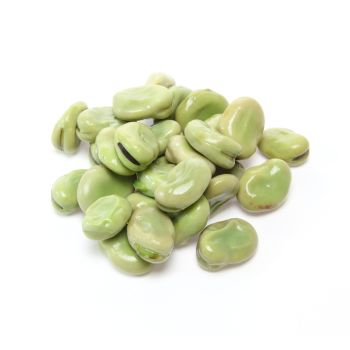 Fava Beans