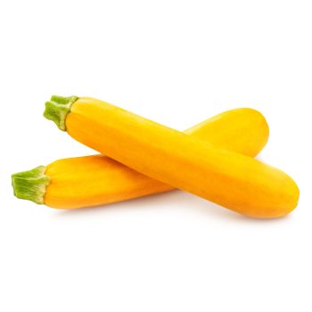 Yellow Squash