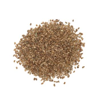 Celery Seeds
