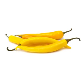 Yellow Chili Pepper