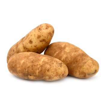 Russet Potato