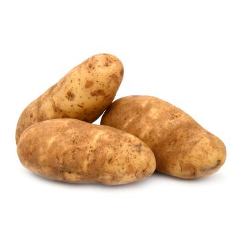 russet potato