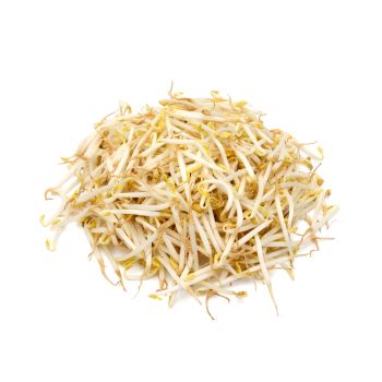 Soybean Sprouts