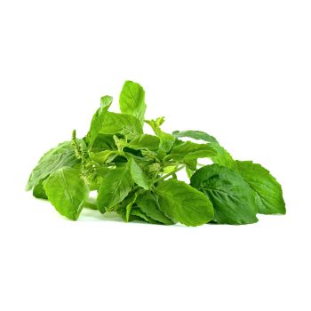 Thai Basil