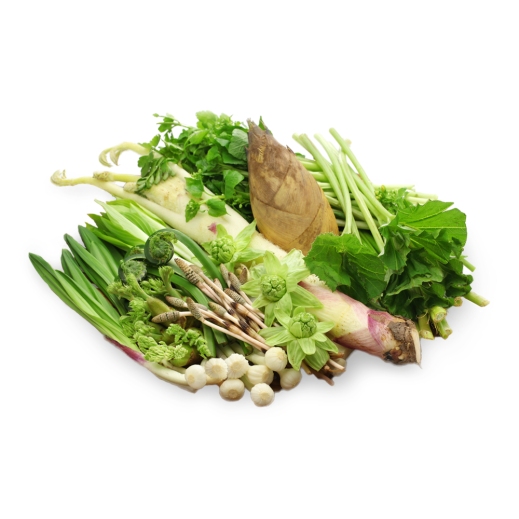 Sansai Vegetables Nutrition Facts And Calories | Description | Taste