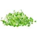 microgreens