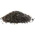 sabja seeds