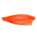 salmon trout