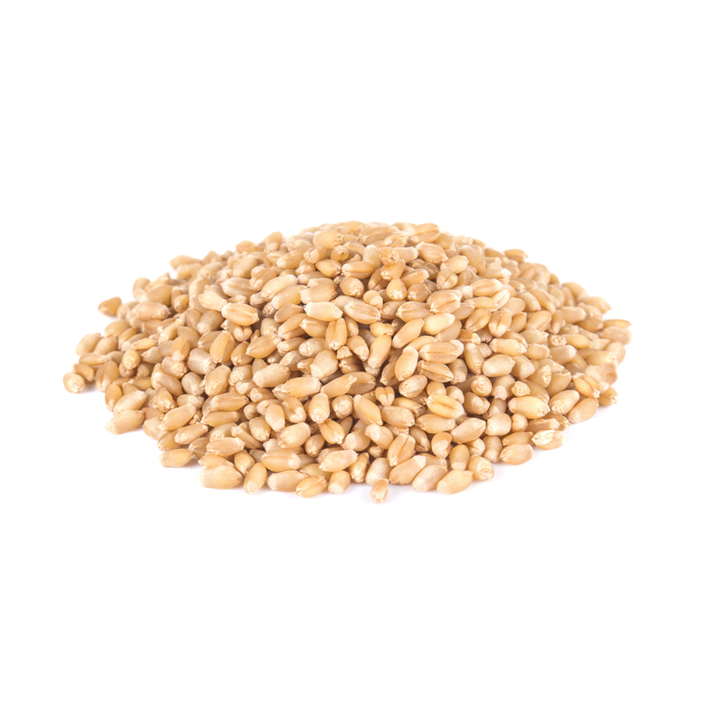 High Protein Wheat Nutrition Facts And Calories Description high-protein-wheat-nutrition-facts-and-calories-description
