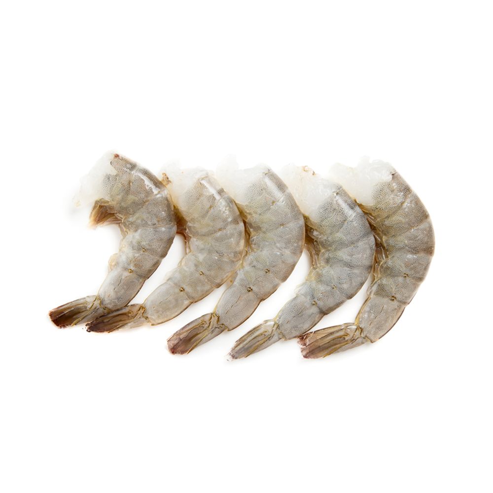 Colossal Shrimp