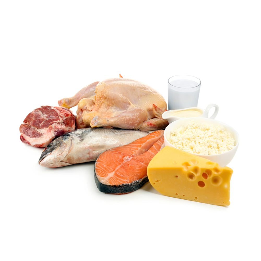 Protein