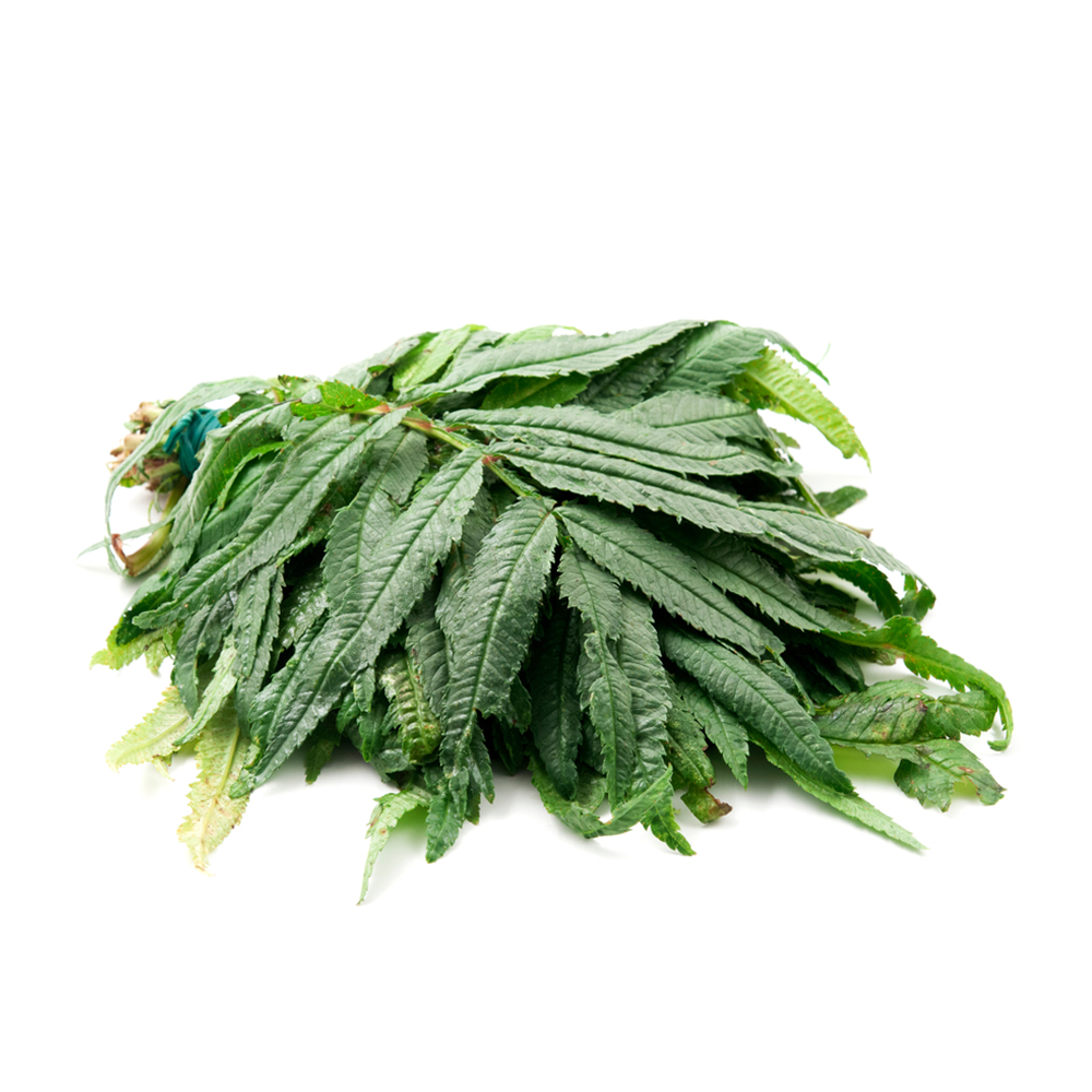 huacatay leaves