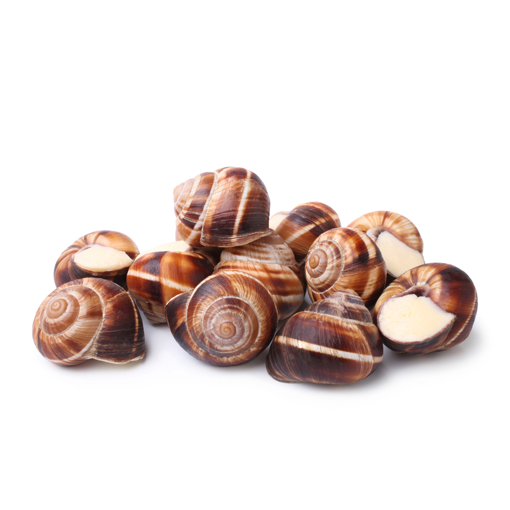 snail Nutrition Facts and Calories Description Taste