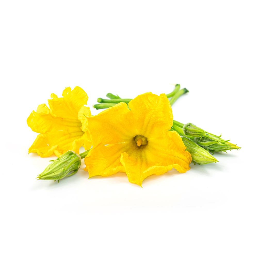 Pumpkin Flower